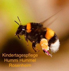 Kindertagespflege Hummi Hummel Rosenheim - 